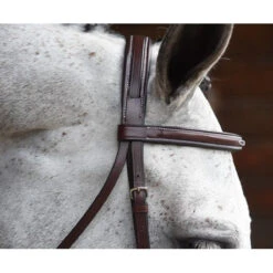 KL Select Italia Middleburg Hunter Bridle -Weatherbeeta Store 111101 03 KL Italia Brown Browband