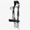 PS Of Sweden Passage Lacquered Double Bridle -Weatherbeeta Store 1250 314 PSSweden Passage.Lacquered.Double.Bridle Black