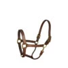 Perri's Leather Stable Halter -Weatherbeeta Store 137 Perris Leather.Stable.Halter Havana Front