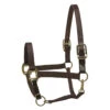Perri's Economy Safety Halter -Weatherbeeta Store 150PBL Perris Economy.Safety.Halter Black