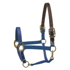 Perri's Economy Safety Halter -Weatherbeeta Store 150PRB Perris Economy.Safety.Halter Royal.Blue