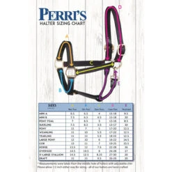 Perri's Economy Safety Halter -Weatherbeeta Store 150 Perris Economy.Safety.Halter Sizes