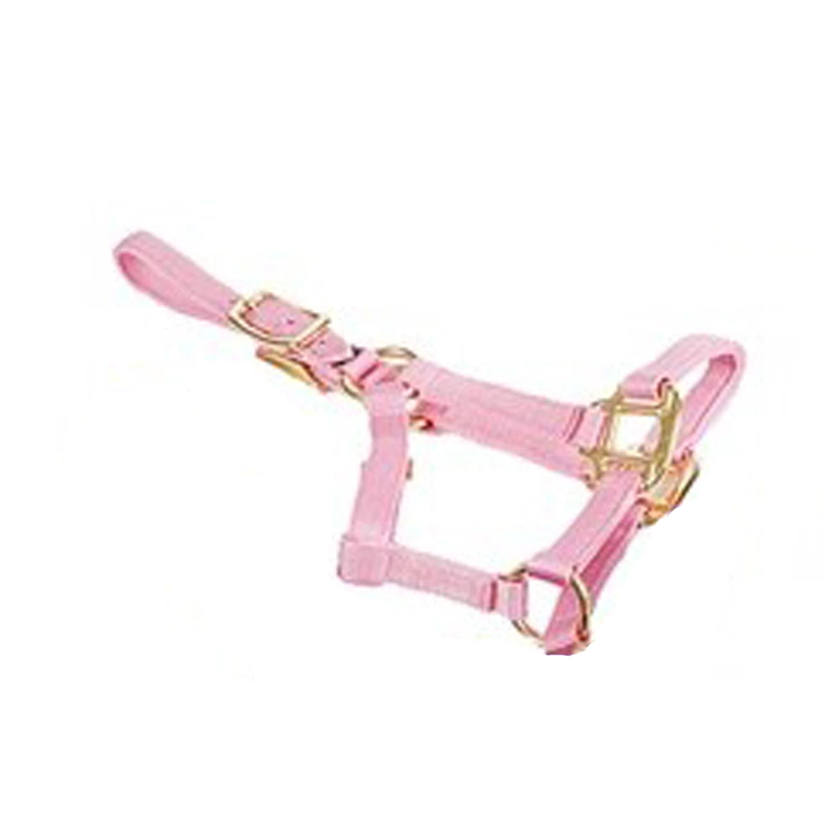 Deluxe Mini Halter 7 Deluxe Mini Halter - Image 5