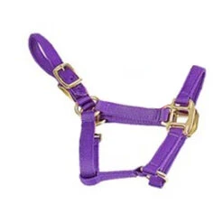 Deluxe Mini Halter 13 Deluxe Mini Halter -Weatherbeeta Store 1823 Jacks Mini.Halter Purple Side