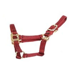 Deluxe Mini Halter 10 Deluxe Mini Halter -Weatherbeeta Store 1823 Jacks Mini.Halter Red Side