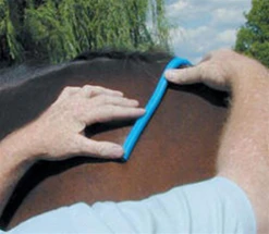 Nunn Finer Saddle Fitting Curve