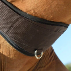 EquiFit Essential Schooling Girth 15 EquiFit Essential Schooling Girth -Weatherbeeta Store 32950 EquiFit Essential.Schooling.Girth SmartFabric4