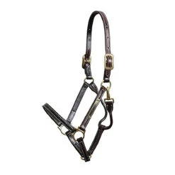 Weatherbeeta Store 24 Walsh Showman Halter