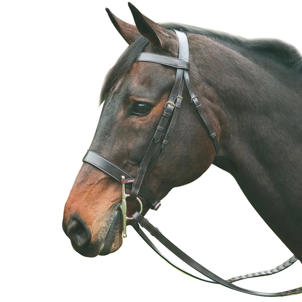 HDR Advantage Hunt Bridle