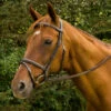 HDR Mono Crown Bridle With Flash And Rubber Reins -Weatherbeeta Store 5106 JPC HDR Pro.Mono .Crown .Bdl .w.Flsh .Rub .Rein Havana Front f8fe8517 06fa 4f59 91b3 b9a15a8d0dd9