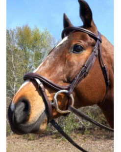 Nunn Finer A Forma Di Shaped Bridle -Weatherbeeta Store 5 07638.1524843942.1280.1280