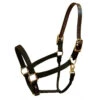 Walsh Breakaway 1" Halter With Straight Chin -Weatherbeeta Store 65600 Walsh Breakaway.Halter.Straight.Chin Black Front