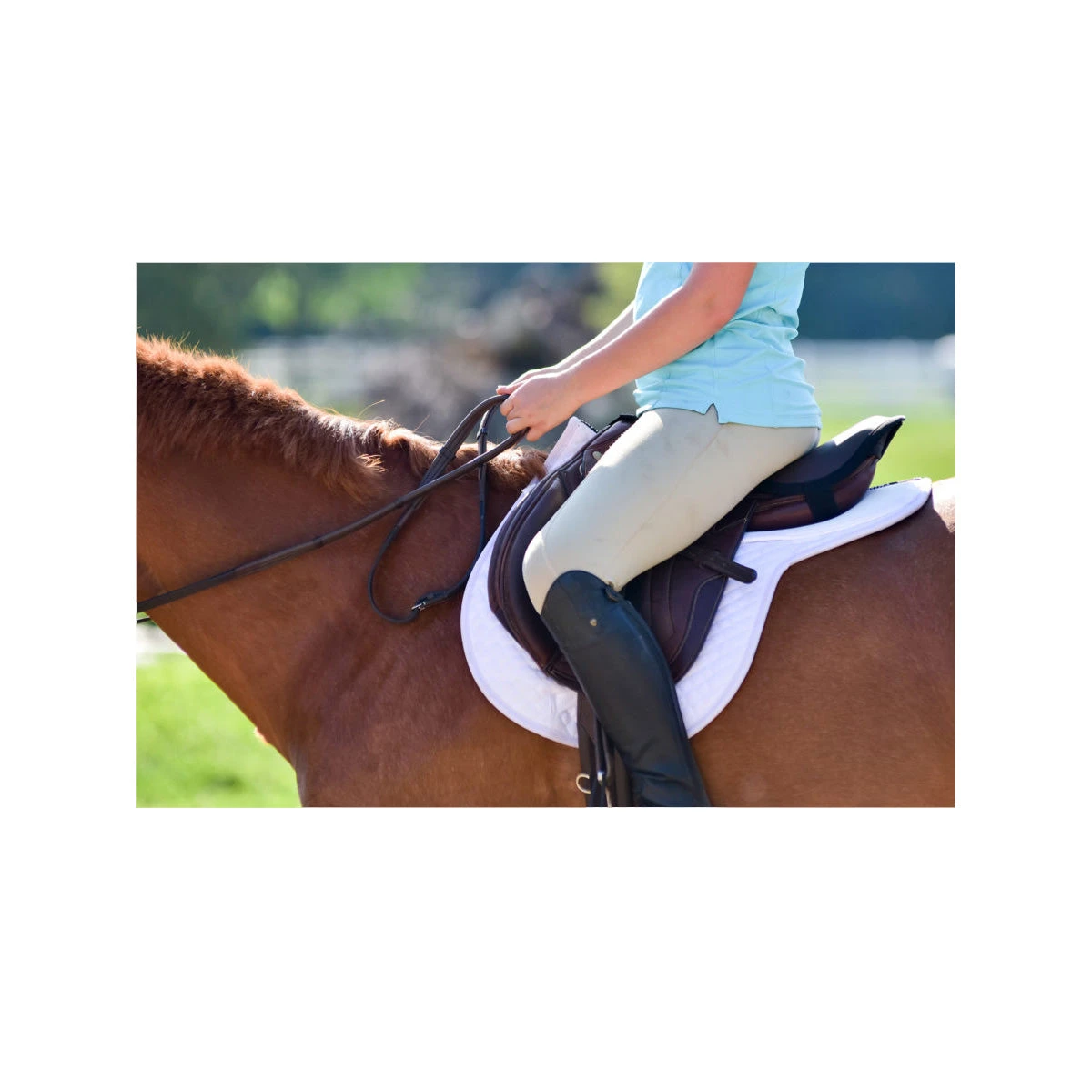 ThinLine Cotton Quilted Fitted All Purpose Saddle Pad 4 ThinLine Cotton Quilted Fitted All Purpose Saddle Pad - Image 2
