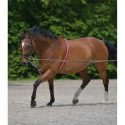 Waldhausen Lunging Aid -Weatherbeeta Store 8104604 Waldhausen Lunging.Aid LS