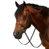 Equiline Scott Stewart Hunter Bridle -Weatherbeeta Store BJ150 EQline Scott.Stewart.Hunter.Bridle Brown