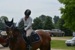 Ogilvy Jump Profile Pad - Custom 9 Ogilvy Jump Profile Pad - Custom -Weatherbeeta Store DSC 0833 700466