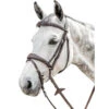 Prestige 3E141 Bridle With Stitching -Weatherbeeta Store E141 99592.1590601918.1280.1280