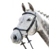 Prestige 3E143 Bridle With Double Drop Noseband -Weatherbeeta Store E143 Prestige Double.Drop .Noseband.Bridle