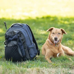 Kerrits EQ Backpack -Weatherbeeta Store EQBackPack 30444 Black2