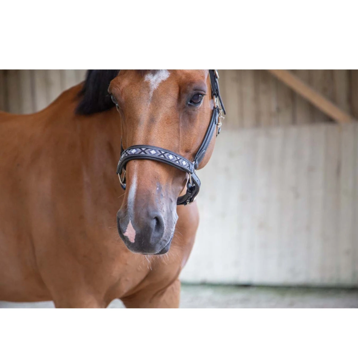 Penelope Pearl Halter 4 Penelope Pearl Halter - Image 2