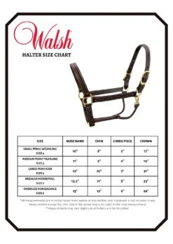 Walsh Showman Halter -Weatherbeeta Store HALTER SIZE CHART Walsh
