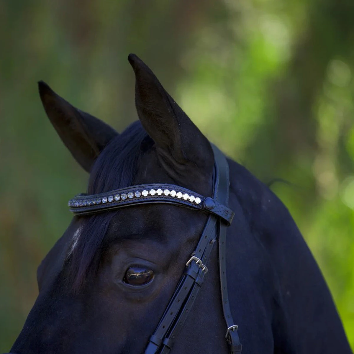 Halter Ego Doc Marten Snaffle Bridle 6 Halter Ego Doc Marten Snaffle Bridle - Image 4