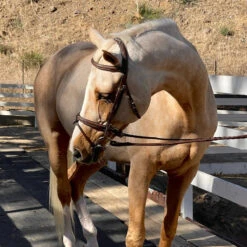 Halter Ego Halifax Hunter Bridle -Weatherbeeta Store Halter.Ego Halifax.Hunter.Bridle 2