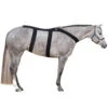 Ice Horse Back Blanket 1 Ice Horse Back Blanket -Weatherbeeta Store IH8000V MacKinnon IH.Back .Blanket