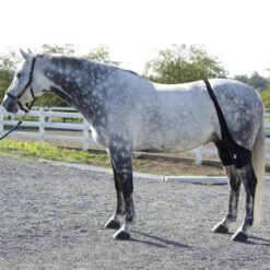 Ice Horse Stifle Wrap -Weatherbeeta Store IHF9000V MacKinnon Hock.Wraps2