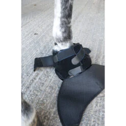 Ice Horse Hoof Ice Boot 20 Ice Horse Hoof Ice Boot -Weatherbeeta Store Ice Horse Hoof Ice Boot8 10248.1588348476.1280.1280