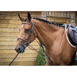 Jump'in Gogue - One Collection