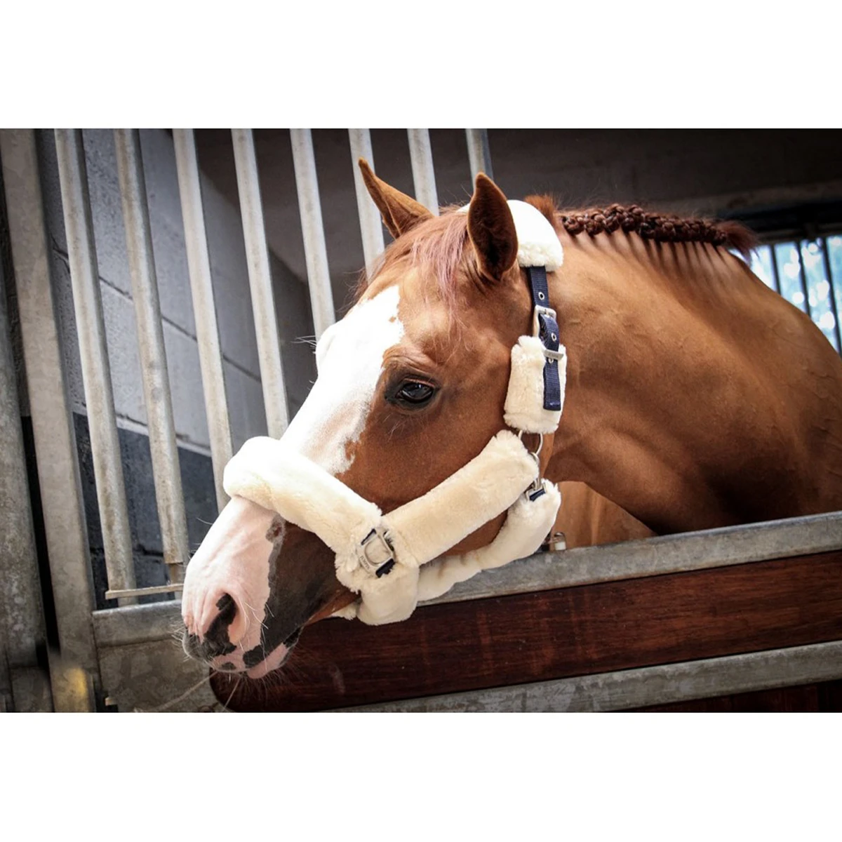 Jump'in Soft Halter - One Collection 4 Jump'in Soft Halter - One Collection - Image 2