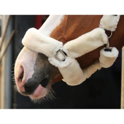 Jump'in Soft Halter - One Collection 10 Jump'in Soft Halter - One Collection -Weatherbeeta Store JI LOM beige3