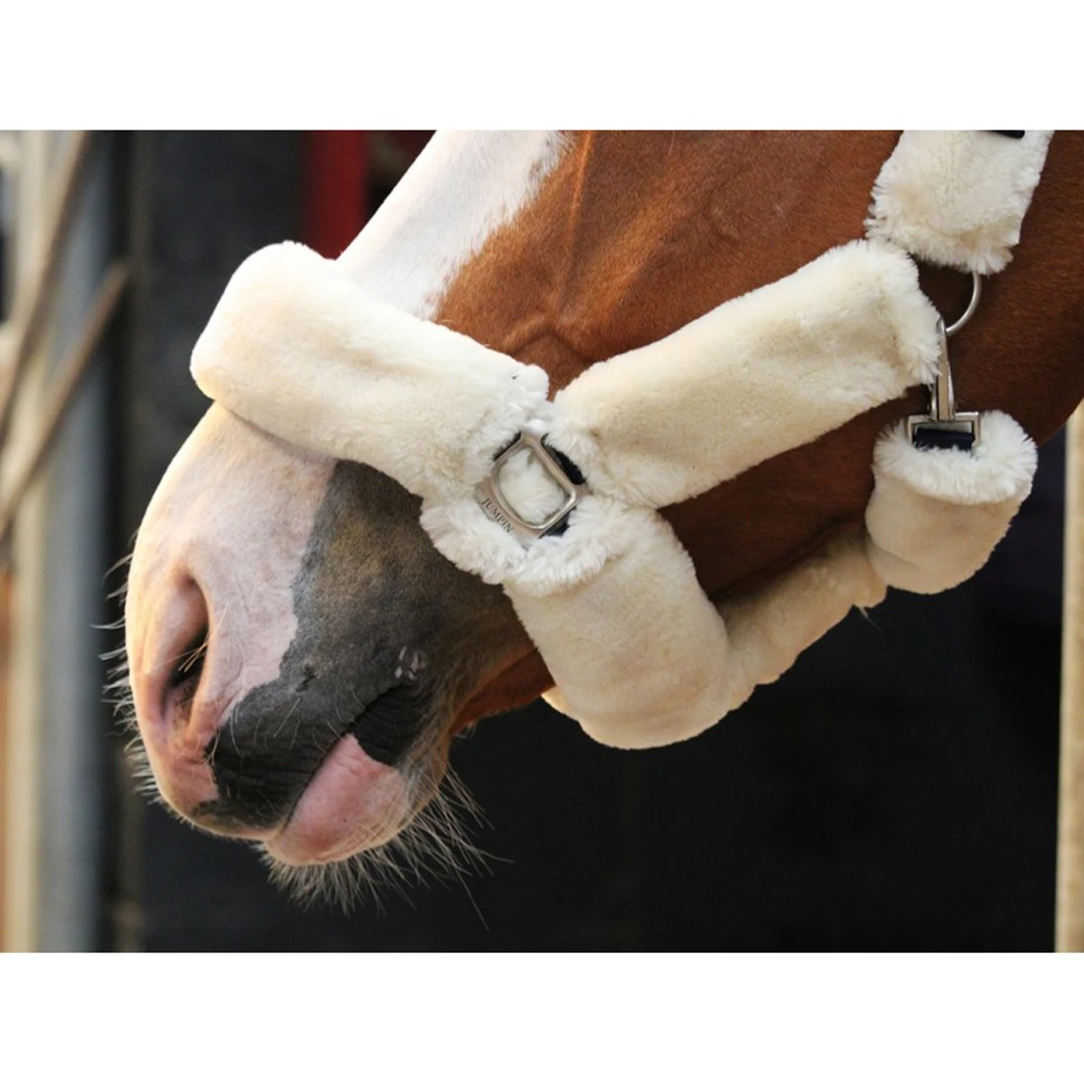 Jump'in Soft Halter - One Collection 5 Jump'in Soft Halter - One Collection - Image 3