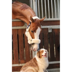 Jump'in Soft Halter - One Collection 11 Jump'in Soft Halter - One Collection -Weatherbeeta Store JI LOM beige4