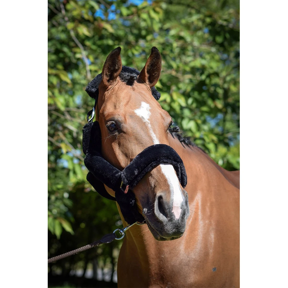 Jump'in Soft Halter - One Collection 7 Jump'in Soft Halter - One Collection - Image 5