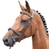 Jump'in Thursday Bridle - Week Collection -Weatherbeeta Store Jump.In Thursday.Bridle.1