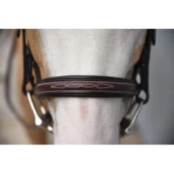 Red Barn By KL Select Icon Hunter Bridle -Weatherbeeta Store KL.Select Icon.Bridle Detail.2