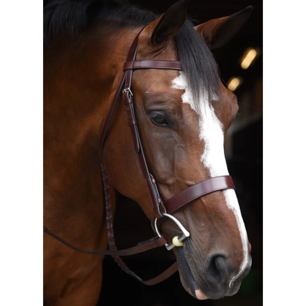 Black Oak By KL Select Foxtrot Hunt Bridle 4 Black Oak By KL Select Foxtrot Hunt Bridle - Image 2