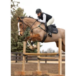 Kerrits Women's 3-Season Tailored Knee Patch Breech 14 Kerrits Women's 3-Season Tailored Knee Patch Breech -Weatherbeeta Store Kerrits 40681P Sand IRL