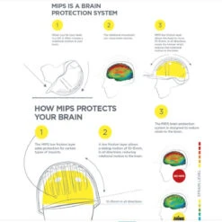 Charles Owen Halo Helmet With MIPS -Weatherbeeta Store MIPS2