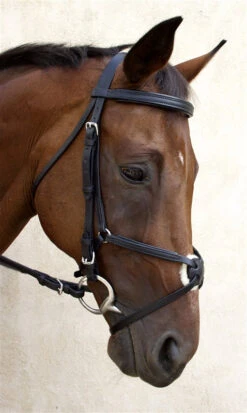 Nunn Finer Fair Hill Figure 8 Bridle 10 Nunn Finer Fair Hill Figure 8 Bridle -Weatherbeeta Store NF8EB 6T