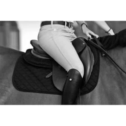 Ogilvy Jumper Baby Pad -Weatherbeeta Store Ogilvy.Equestrian Jumper.Baby .Pad Black Lifestyle 00
