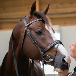 Penelope Daily Bridle -Weatherbeeta Store Pen Daily 1