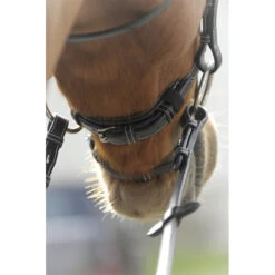 Penelope Point Sellier Bridle -Weatherbeeta Store Pen Sellier 4