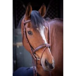 Penelope US Bridle 13 Penelope US Bridle -Weatherbeeta Store Pen US 5