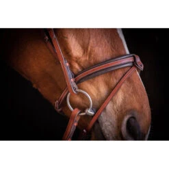 Penelope US Bridle 10 Penelope US Bridle -Weatherbeeta Store Pen Us 2