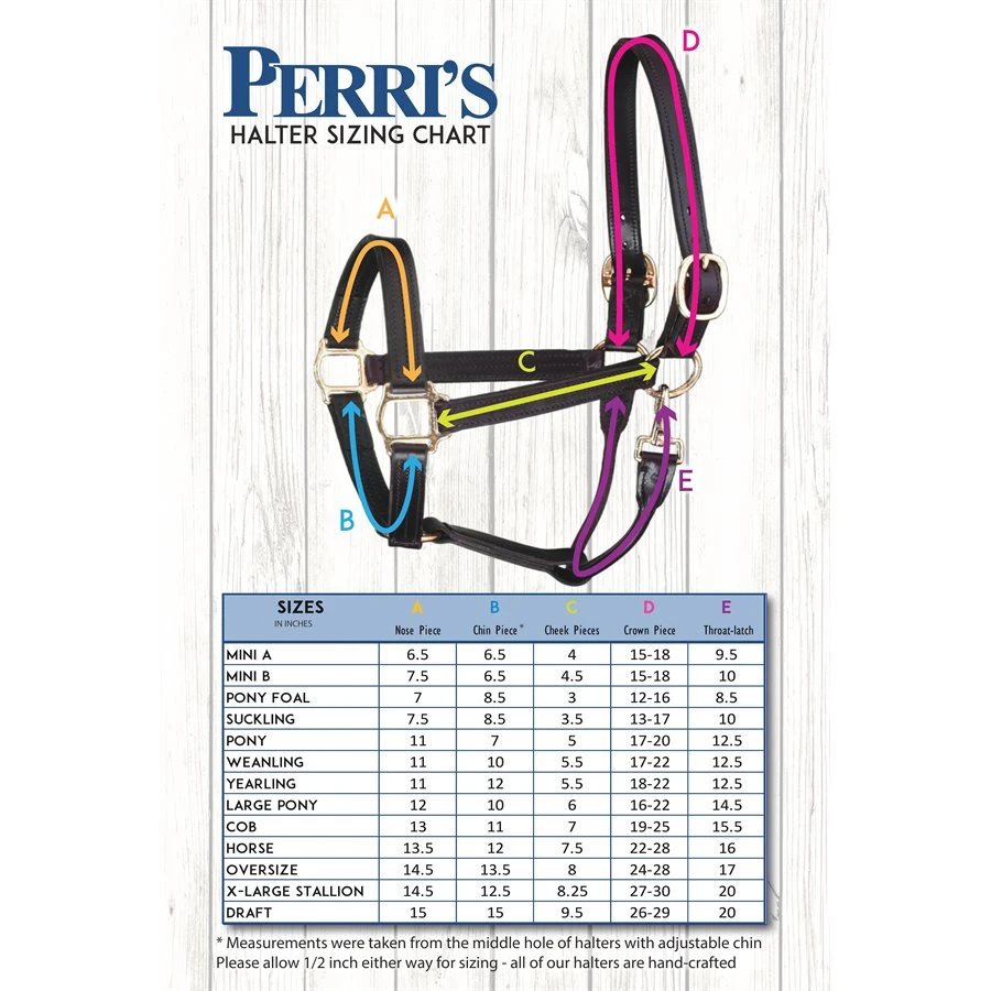 Perri's Double Crown Foal Halter 4 Perri's Double Crown Foal Halter - Image 2