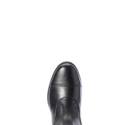 Ariat Women's Nitro Max Tall Riding Boot -Weatherbeeta Store S20 WMS ENGL Couto 10031676 toe