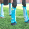 Airflow Turnout Socks -Weatherbeeta Store Shires 1857 AirflowTurnoutSocks.teal